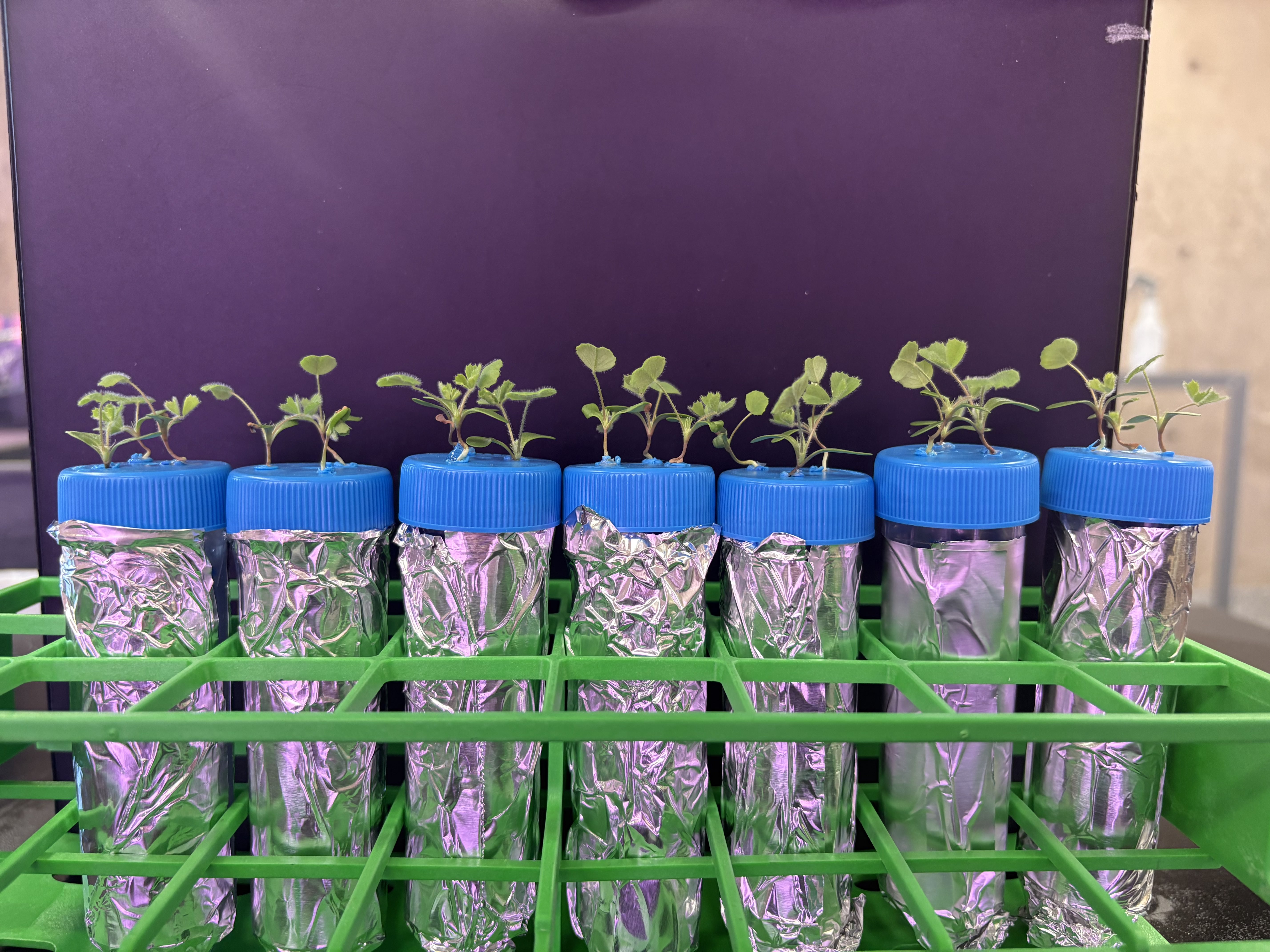 Mueller Lab — Salk Institute